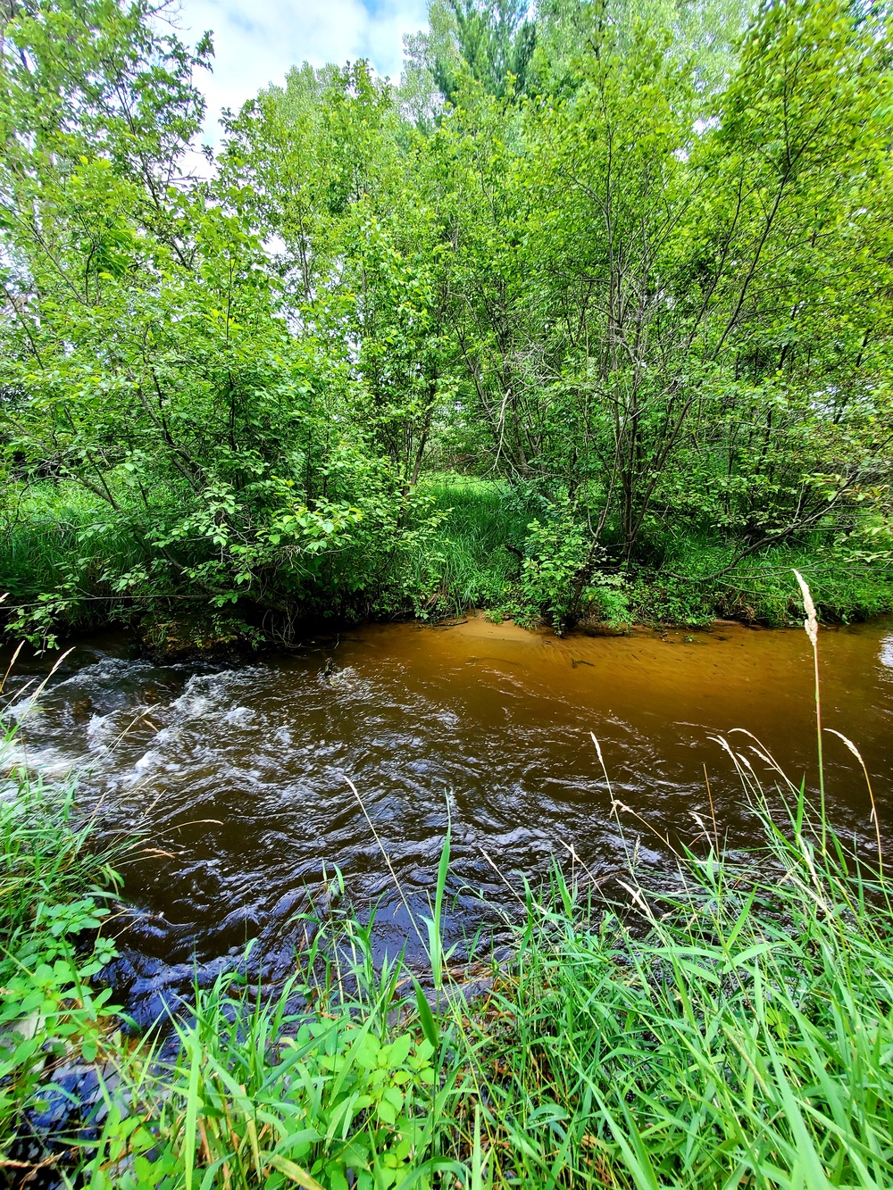 Tarr Creek at Fort McCoy