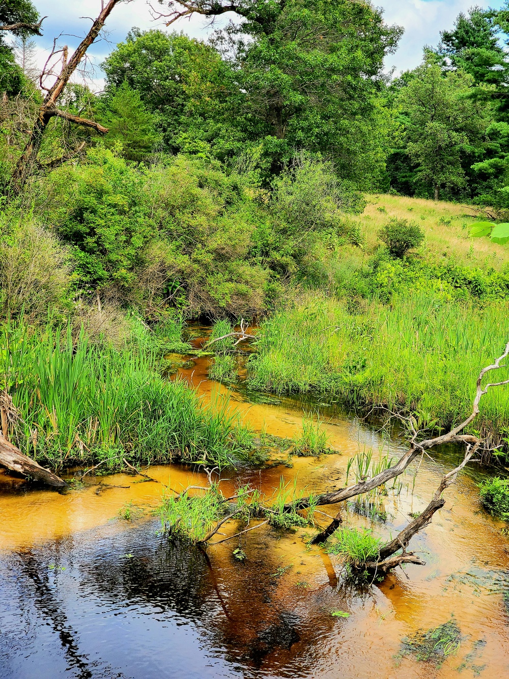 Tarr Creek at Fort McCoy