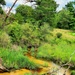 Tarr Creek at Fort McCoy