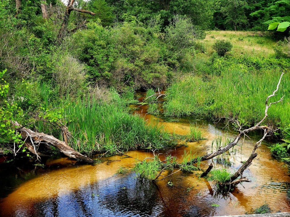 Tarr Creek at Fort McCoy