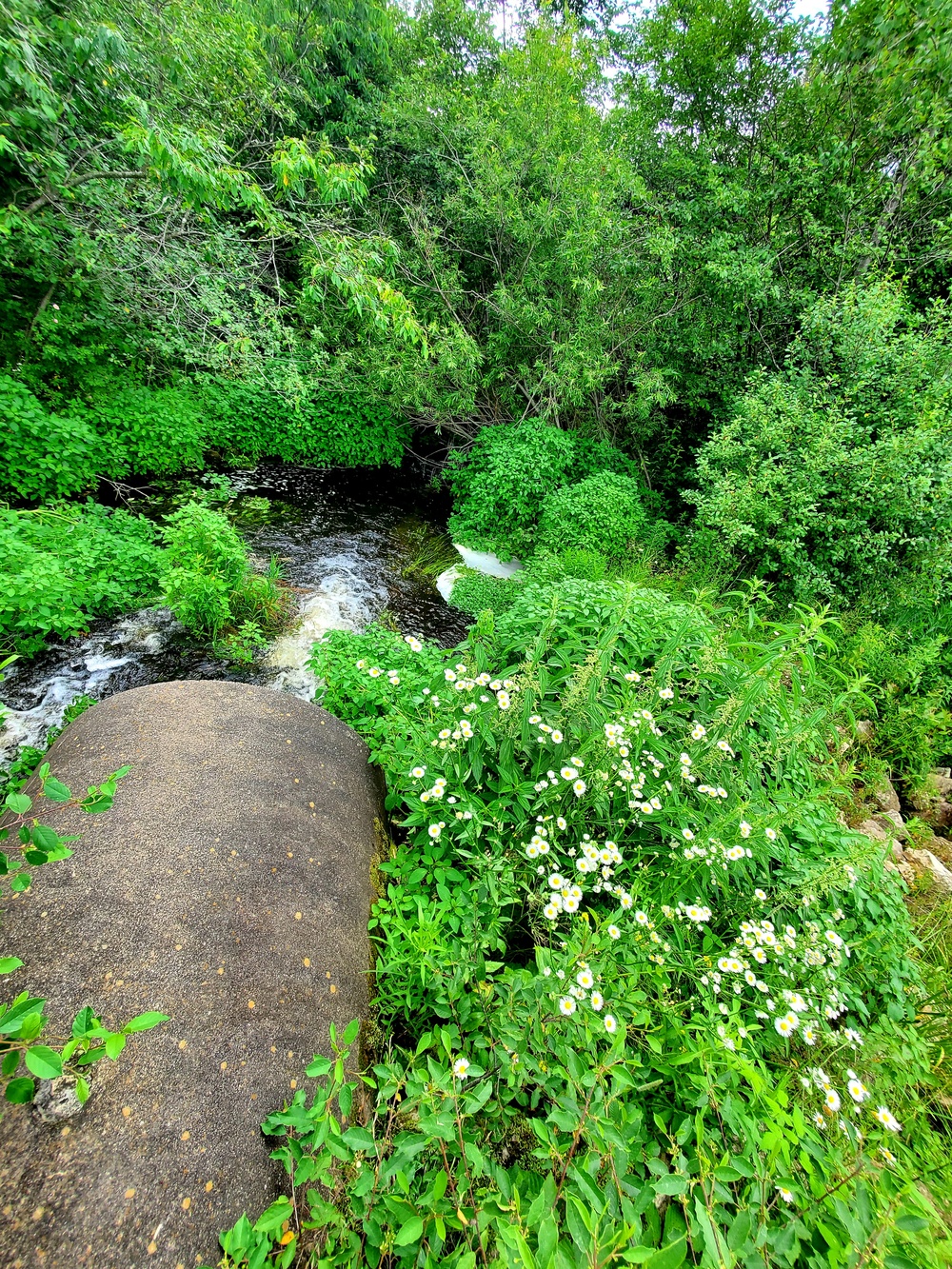 Tarr Creek at Fort McCoy