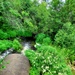 Tarr Creek at Fort McCoy