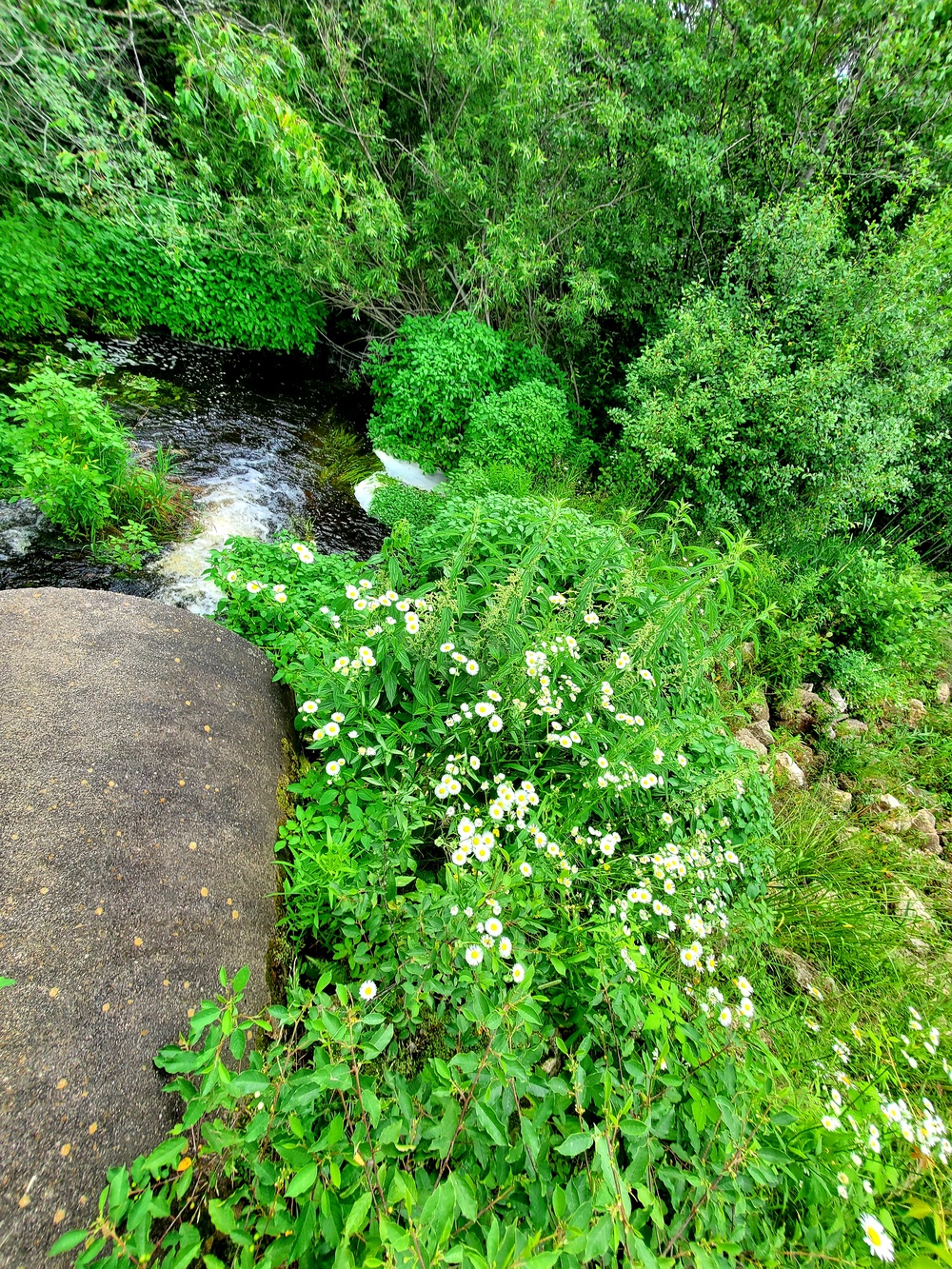 Tarr Creek at Fort McCoy