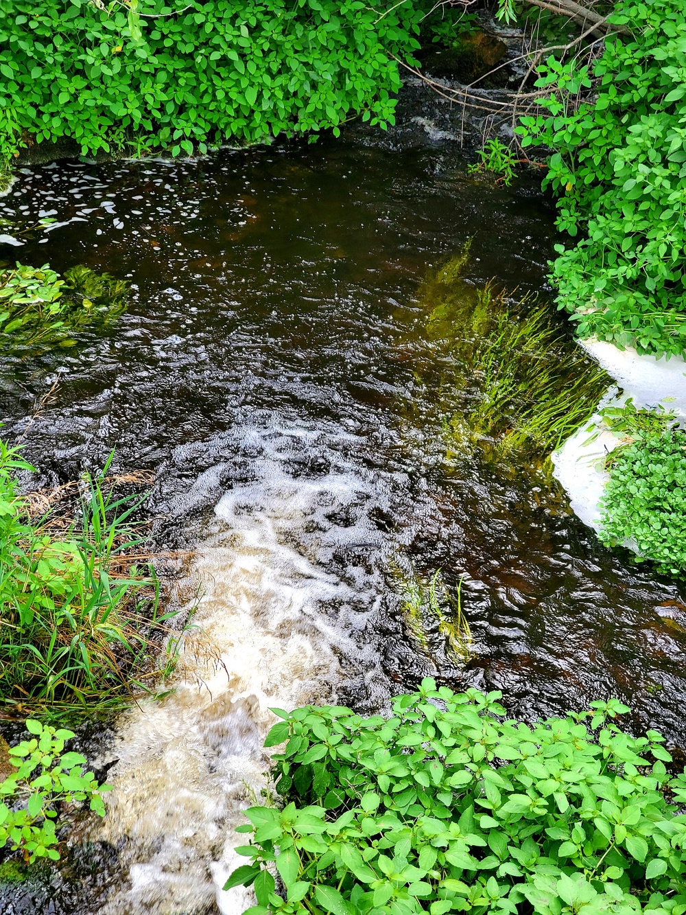 Tarr Creek at Fort McCoy