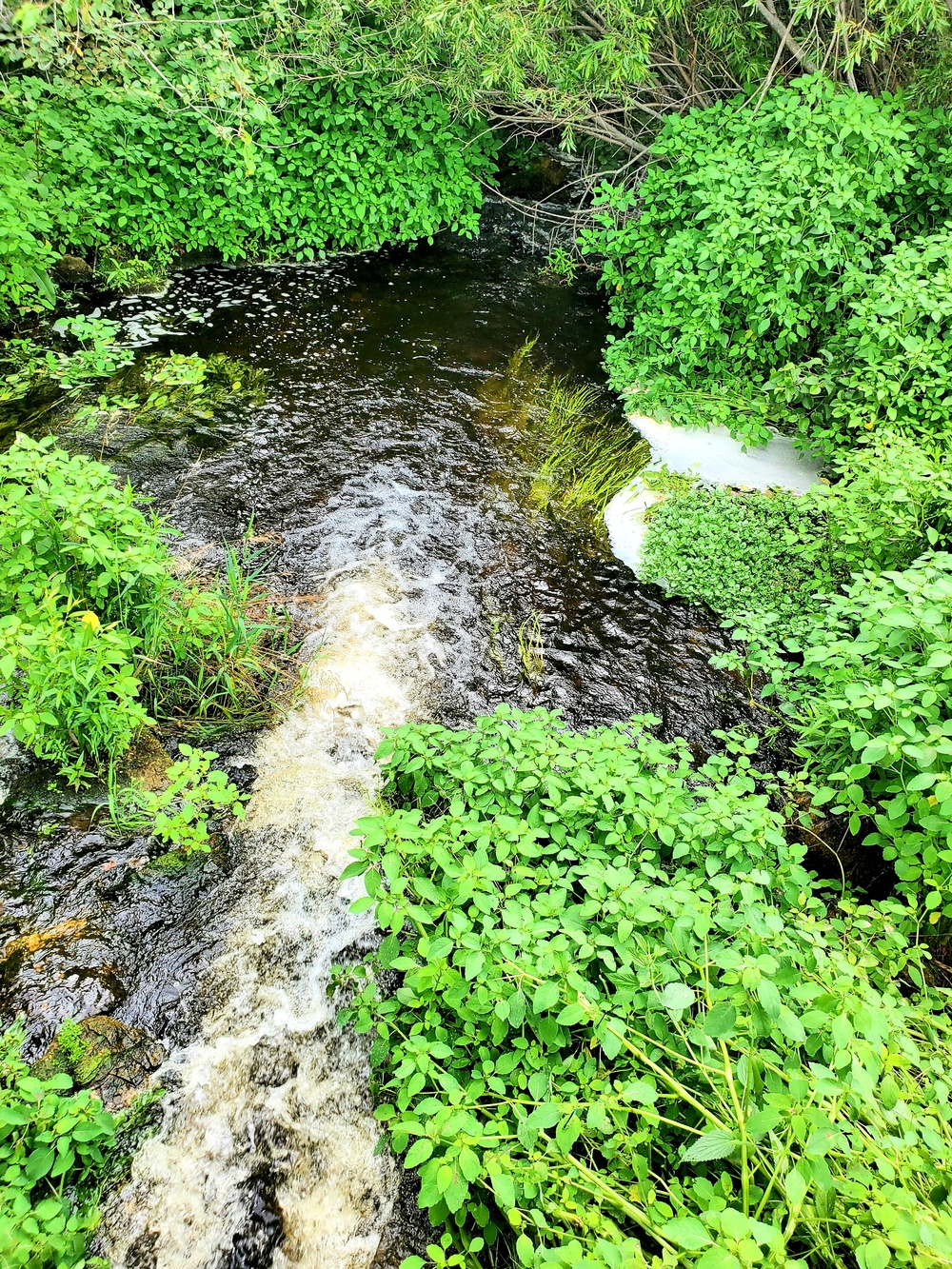 Tarr Creek at Fort McCoy