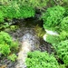 Tarr Creek at Fort McCoy