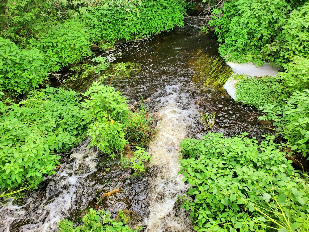 Tarr Creek at Fort McCoy