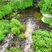 Tarr Creek at Fort McCoy