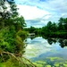 Sparta Pond at Fort McCoy