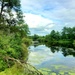 Sparta Pond at Fort McCoy