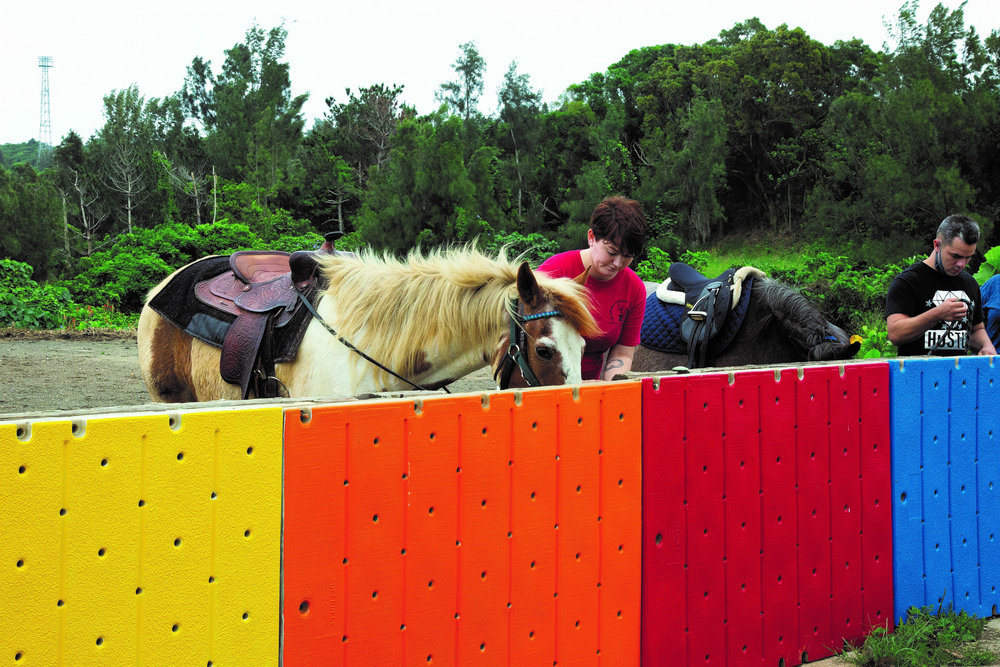 A passion of Marine Farrier saves a horse’s life