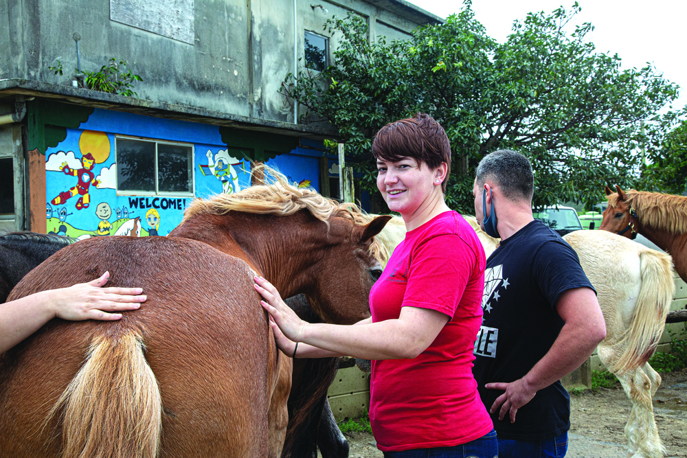 A passion of Marine Farrier saves a horse’s life