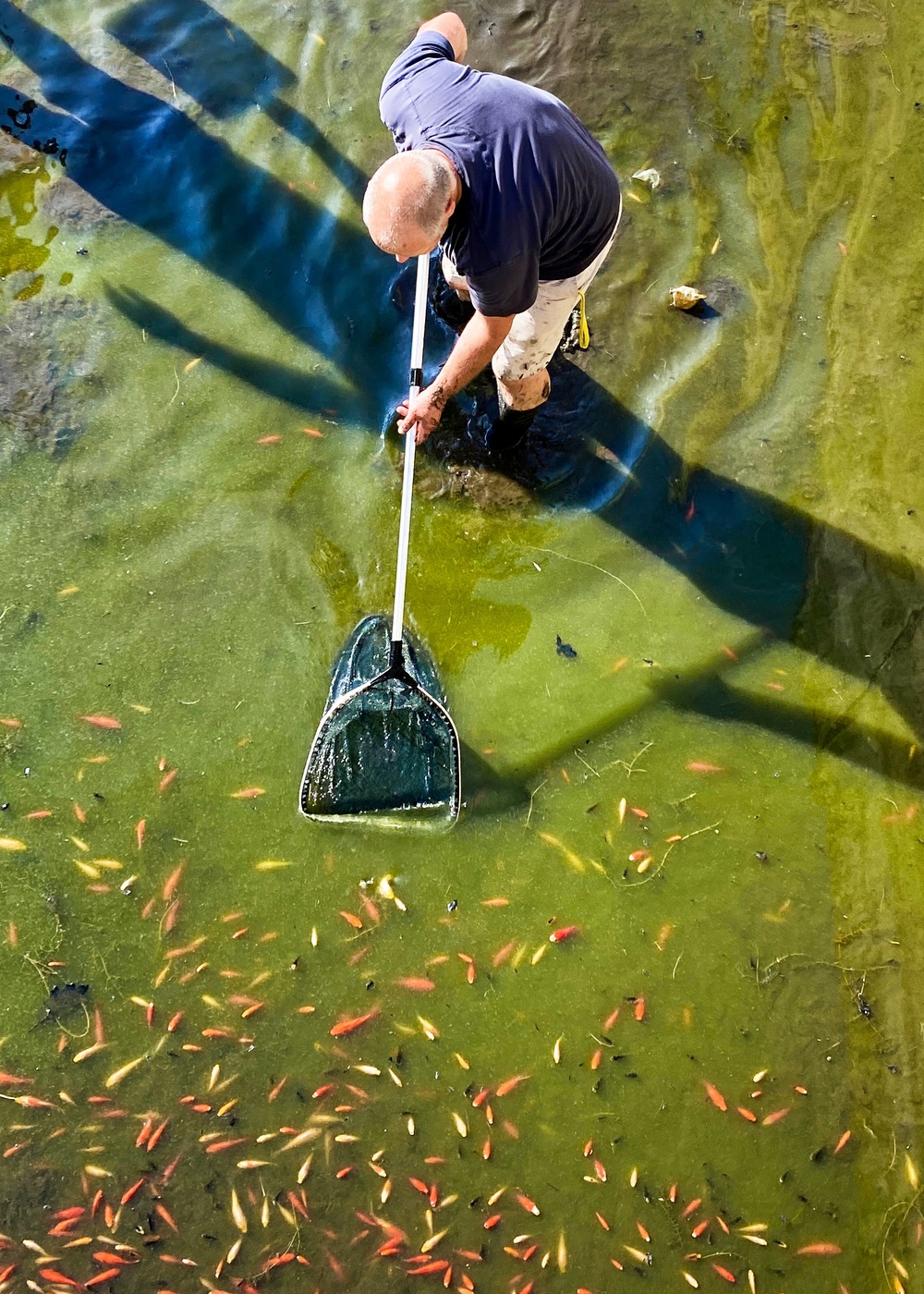 Garrison rescues thousands of goldfish found living at military wash rack