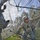2CR, Field Artillery Squadron training exercise