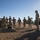 Talisman Sabre 21: U.S., Australian forces perform bilateral fuel training A group of military personnel in camouflage uniforms are gathered around a piece of field equipment, likely a generator or pump unit, in an arid outdoor environment. The scene appears to be a training exercise or field demonstration, with soldiers observing while two individuals work directly on the equipment. The setting includes military tents and vehicles in the background under a clear blue sky.