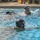 HIARNG Aviation units conduct under water survival training