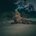 CLB 5 Marines Conduct Night Patrol