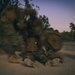 CLB 5 Marines Conduct Night Patrol