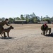 Talisman Sabre 21: The Governor of Queensland visits Lavarack Barracks