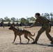 Talisman Sabre 21: The Governor of Queensland visits Lavarack Barracks