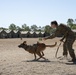 Talisman Sabre 21: The Governor of Queensland visits Lavarack Barracks