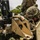 Guns Up | 3d Landing Support Battalion sharpens machine gun skills alongside 2nd Battalion, 2nd Marines machine gunners Guns Up | 3d Landing Support Battalion sharpens machine gun skills alongside 2nd Battalion, 2nd Marines machine gunners