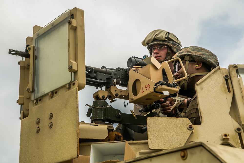 Guns Up | 3d Landing Support Battalion sharpens machine gun skills alongside 2nd Battalion, 2nd Marines machine gunners