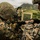 Guns Up | 3d Landing Support Battalion sharpens machine gun skills alongside 2nd Battalion, 2nd Marines machine gunners Guns Up | 3d Landing Support Battalion sharpens machine gun skills alongside 2nd Battalion, 2nd Marines machine gunners