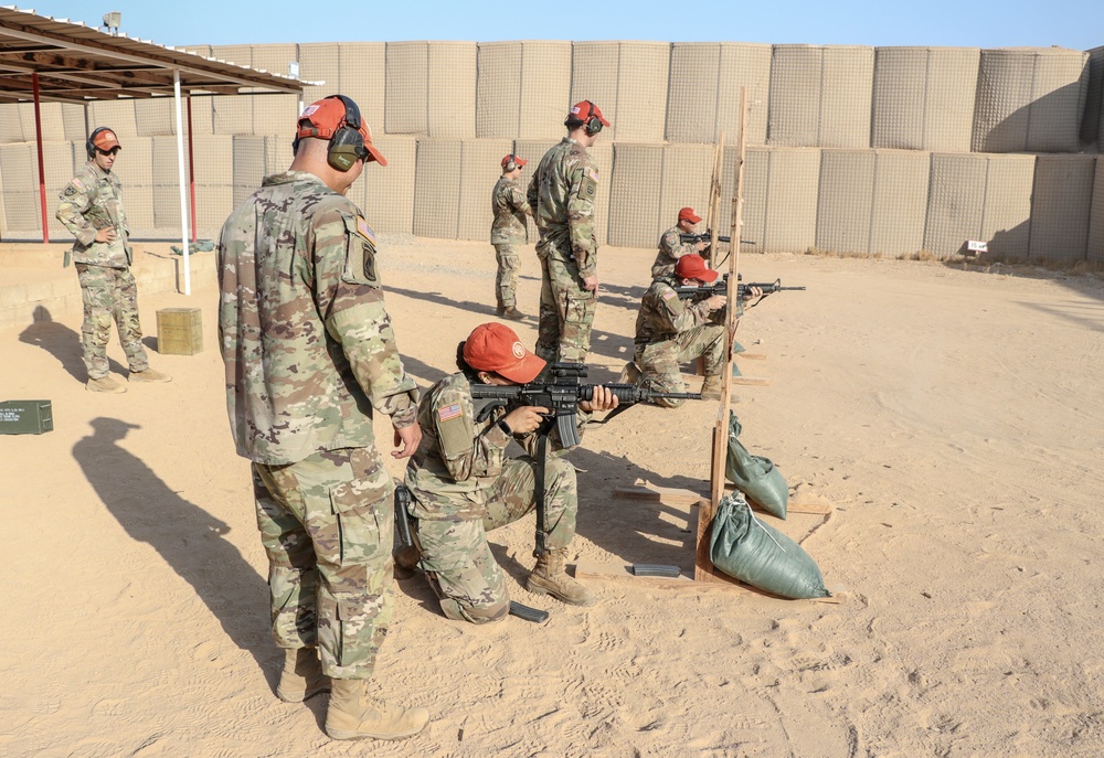 Desert Dogs of TF Sinai Conduct Quarterly Training