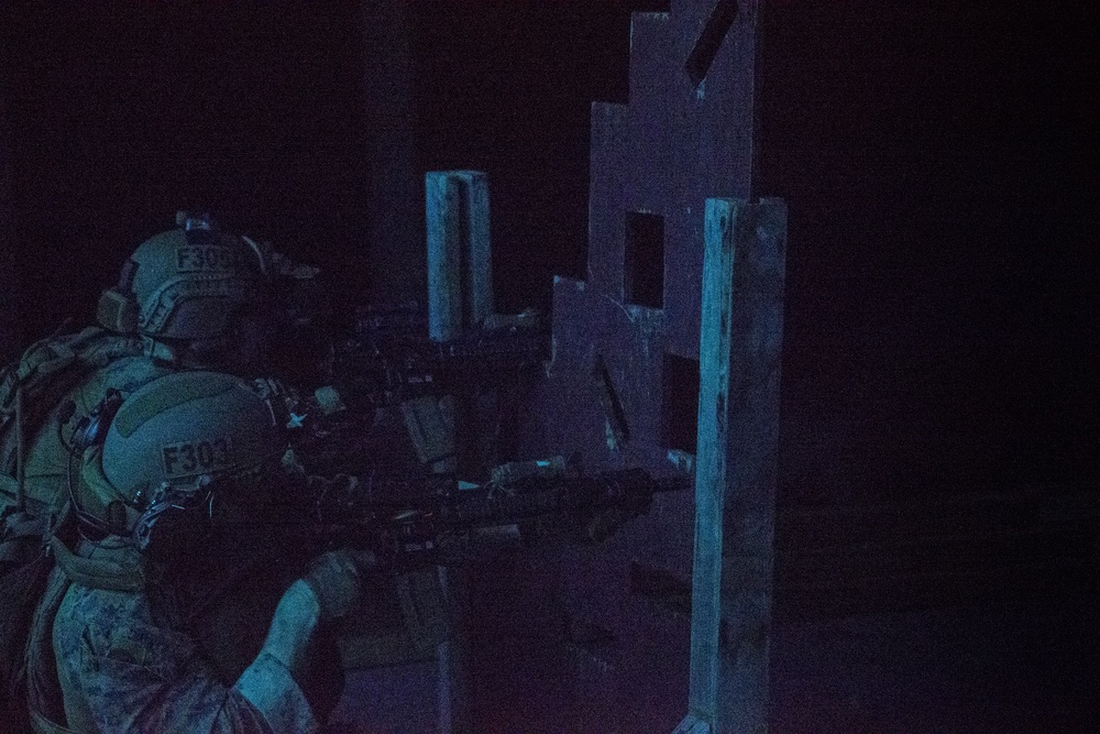 Bringing the fight at night