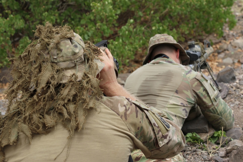 Task Force Iron Gray Snipers conduct training stalk