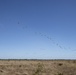 Talisman Sabre 21: US Army paratroopers jump from Australian C-17
