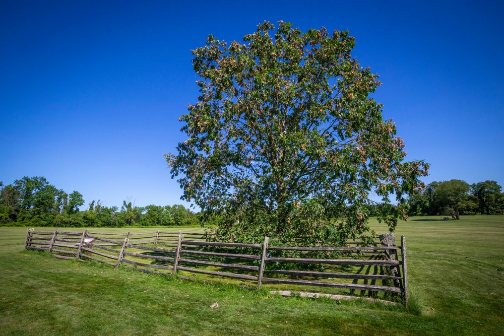 Princeton Battlefield