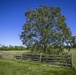 Princeton Battlefield