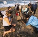 Sea Turtle Excavation aboard Fort Hase, MCBH