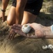 Sea Turtle Excavation aboard Fort Hase, MCBH