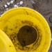 Sea Turtle Excavation aboard Fort Hase, MCBH