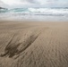 Sea Turtle Excavation aboard Fort Hase, MCBH