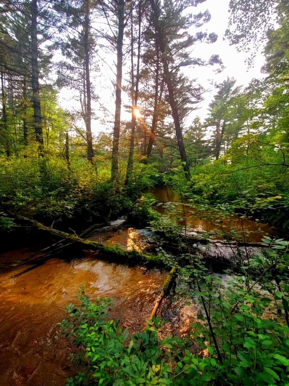 La Crosse River at Fort McCoy