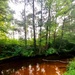 La Crosse River at Fort McCoy