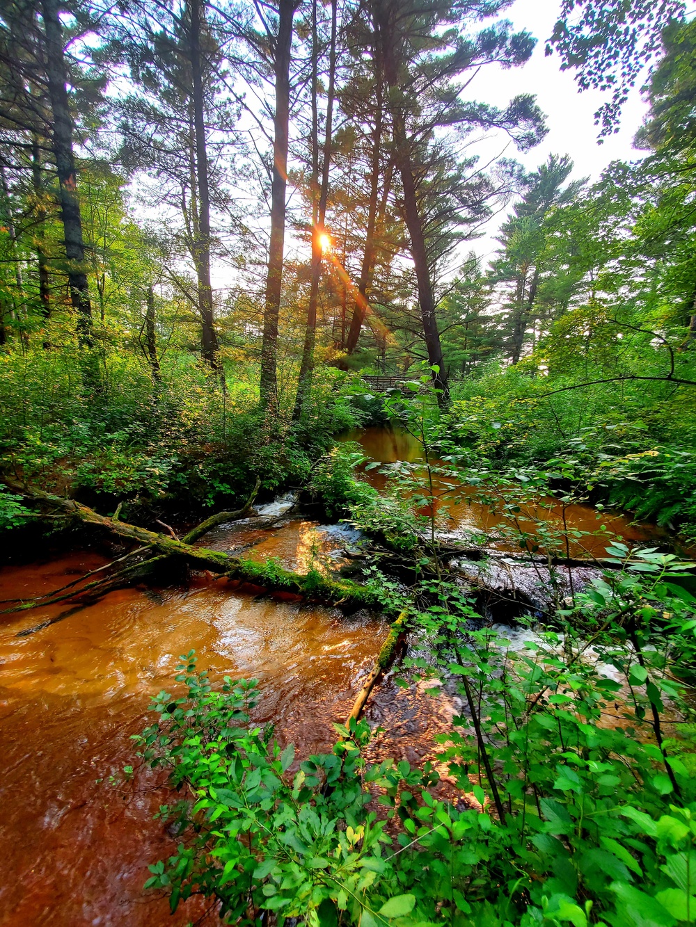 La Crosse River at Fort McCoy