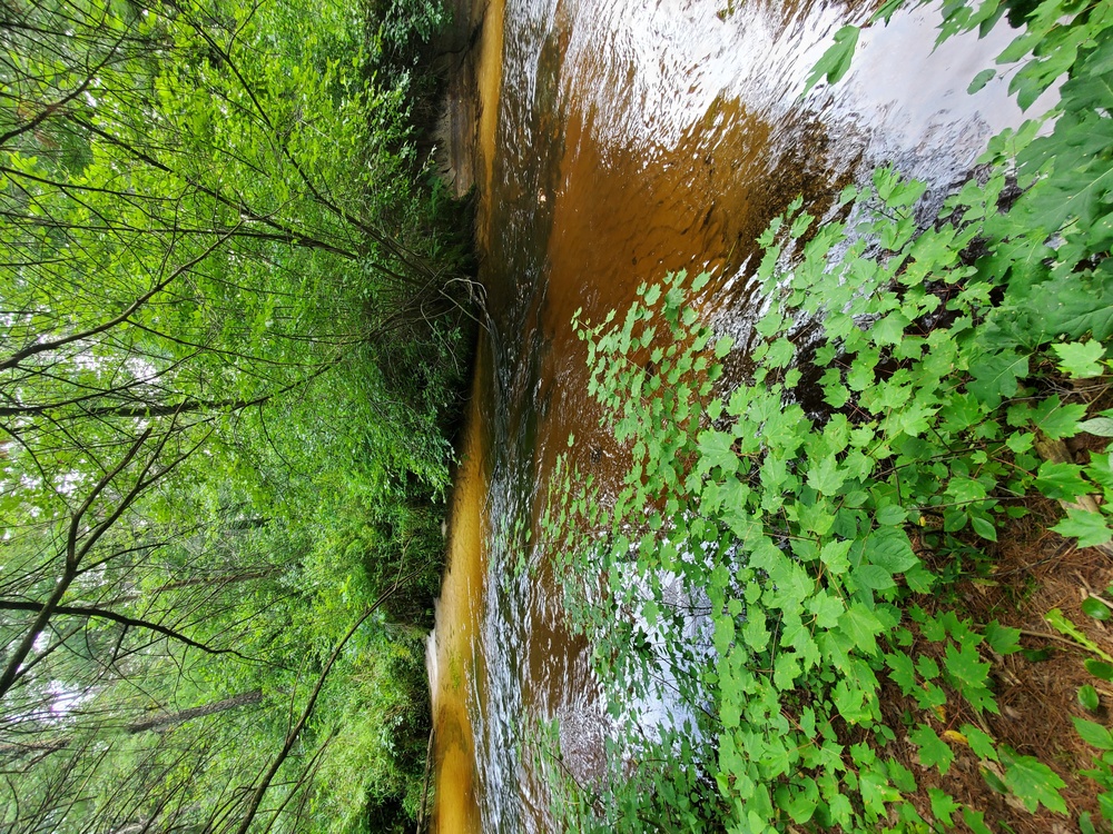 La Crosse River at Fort McCoy