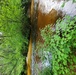 La Crosse River at Fort McCoy