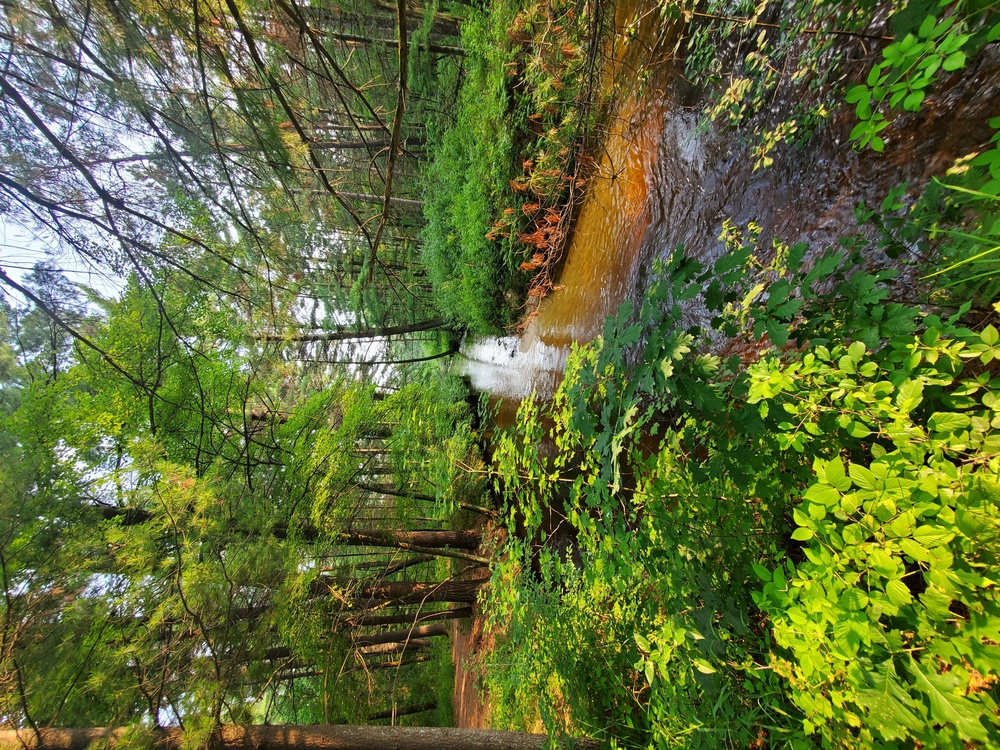 La Crosse River at Fort McCoy