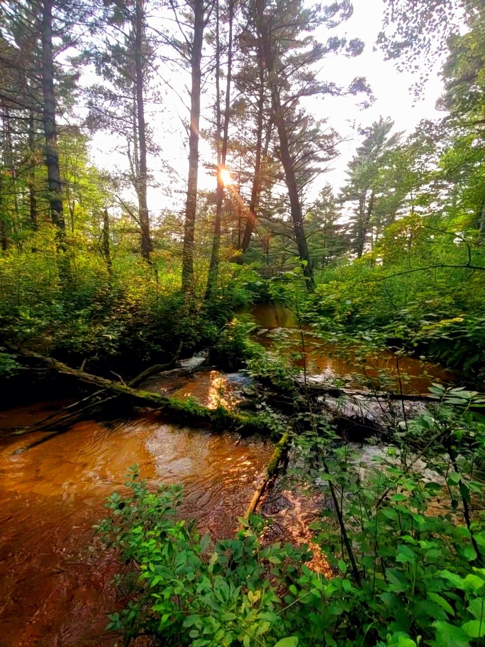 La Crosse River at Fort McCoy