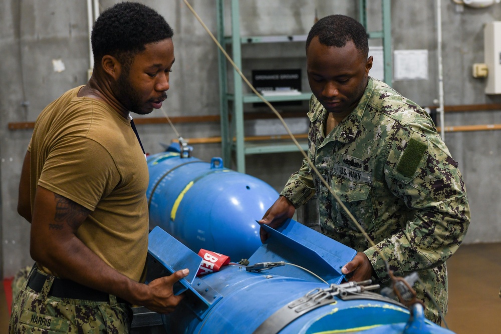 Navy Munitions Command Practices on MK 65 Training Mines