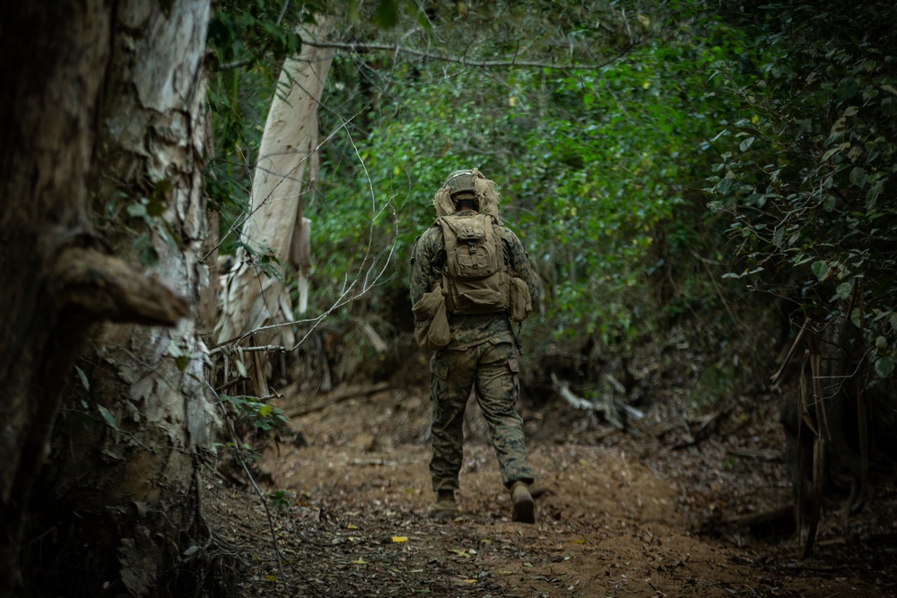 Marines with 31st MEU conduct EAB operations