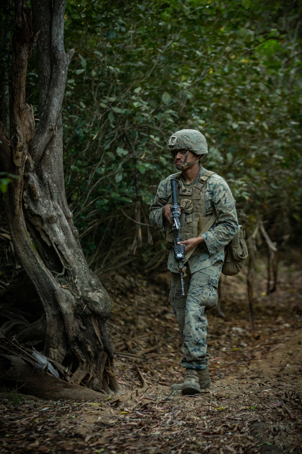 Marines with 31st MEU conduct EAB operations