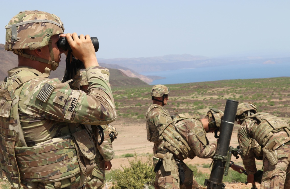 Task Force Iron Gray conducts joint mortar live fire with French Forces in Djibouti
