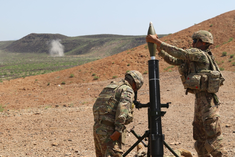 Task Force Iron Gray conducts joint mortar live fire with French Forces in Djibouti